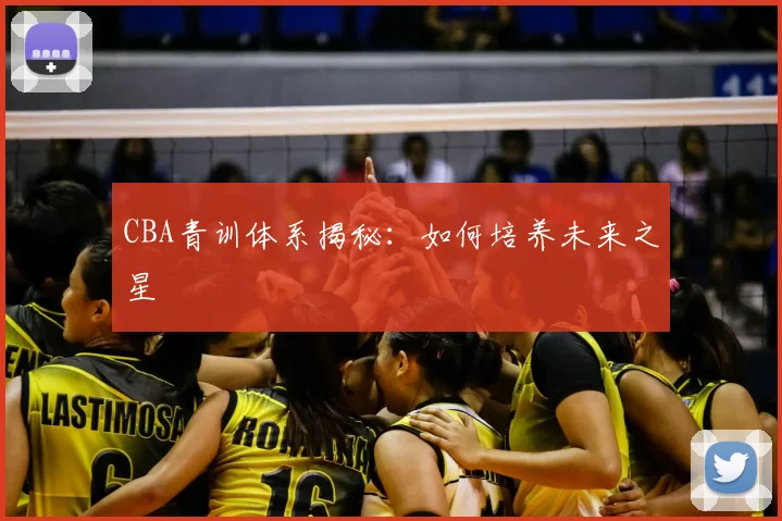 CBA青训体系揭秘：如何培养未来之星